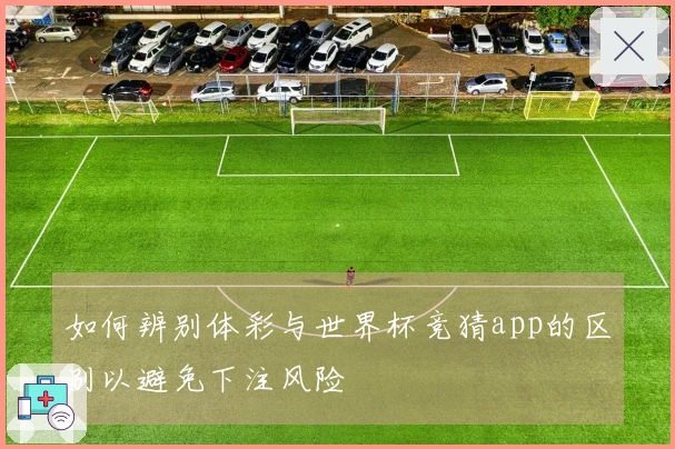 如何辨别体彩与世界杯竞猜app的区别以避免下注风险