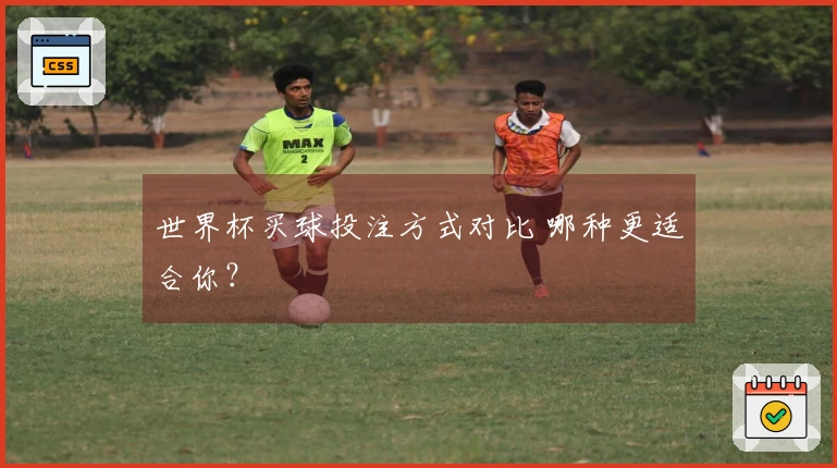世界杯买球投注方式对比 哪种更适合你？