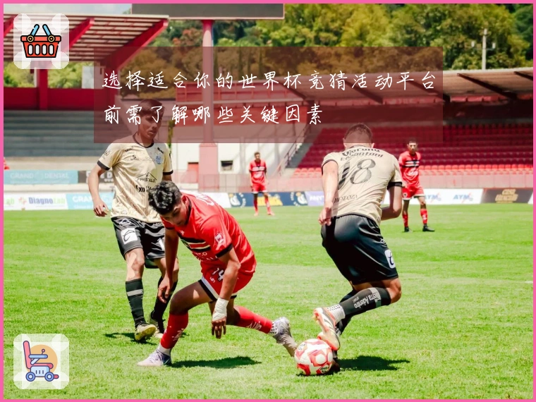 选择适合你的世界杯竞猜活动平台前需了解哪些关键因素